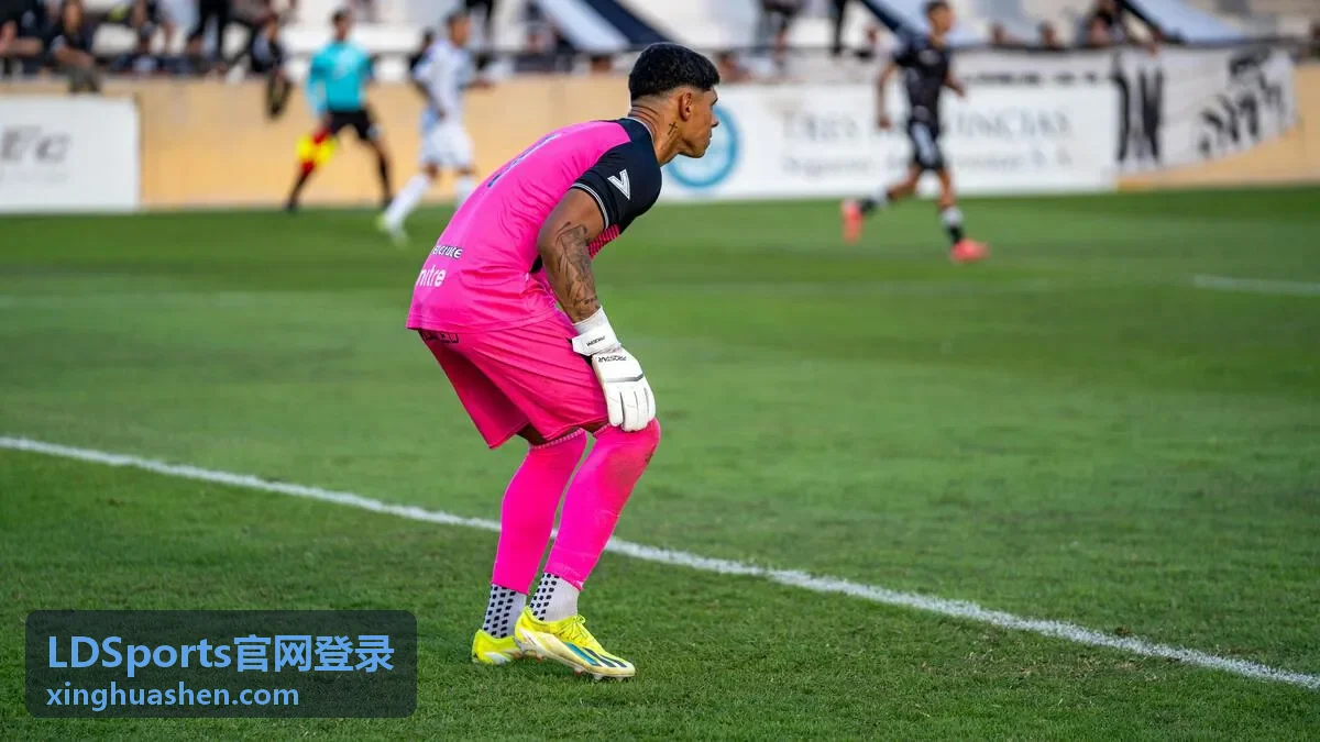 LDSports官网登录账号安全验证示意