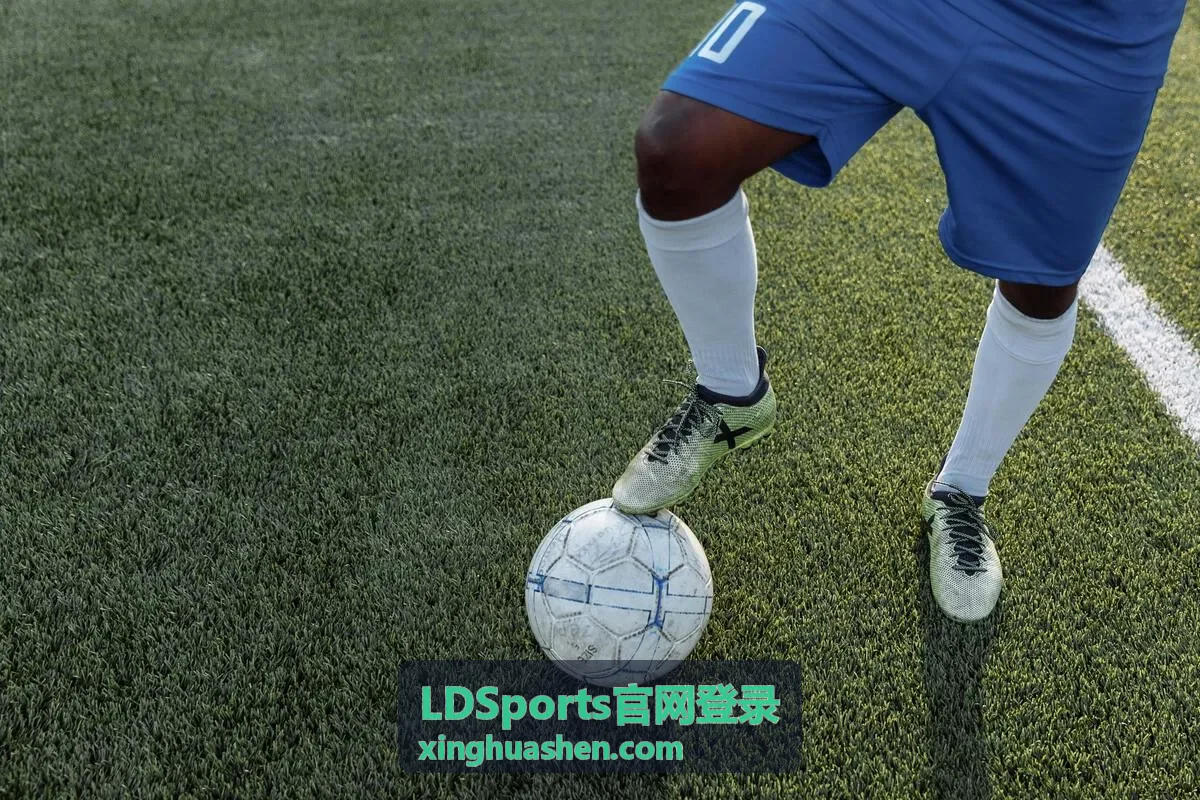 LDSports官网登录客户端下载安装示意